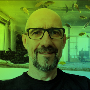 Zdravko Tomov - Ficosota